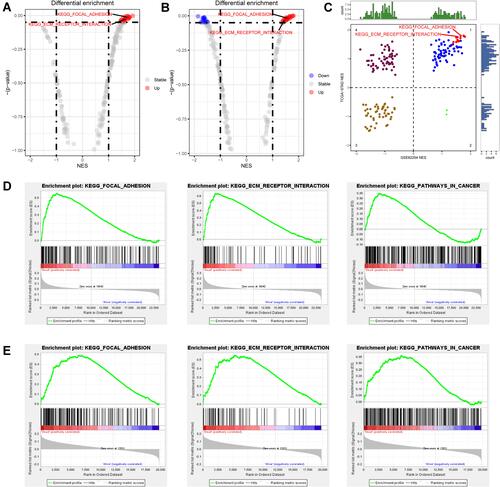 Figure 1 Identify the most functional signalling pathways in GC. (A) The different activated pathways of dead and living GC patients in the GSE62254 cohort. (B) The different activated pathways of dead and living GC patients in TCGA-STAD cohort. (C) The distribution of pathways activated in both cohorts in four quadrants. (D) The GSEA plot of three selected pathways in the GSE62254 cohort. (E) The GSEA plot of three selected pathways in the TCGA-STAD cohort.