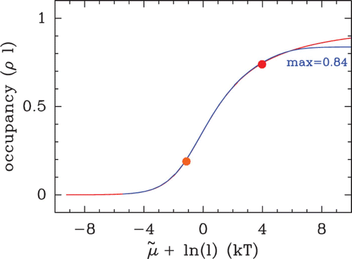Figure 14. Occupancy (ρ l) of hard rods in a homogeneous energy landscape E(s)=E o , as a function of the residual chemical potential μ˜=μ−E o . Theoretical curves obtained from EquationEquation (14) (red, infinite size system) and from Vanderlick numerical method (blue, large but finite size system). The dots indicate the bulk occupancy values for the chemical potential values used in Figure 13: μ˜=−6 kT (orange dot) and μ˜=−1 kT (red dot).