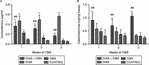Figure 3  Determination of corticosterone and catecholamines. Plasma and spleens from CONTROL (mice without treatment), CMS (mice subjected to CMS), DIAB (diabetic mice) and DIAB+CMS (diabetic mice subjected to CMS) were collected at different times of CMS (1–3 weeks), and plasma corticosterone (panel A) and splenic catecholamines (panel B) levels were determined. Data are mean ± SEM of at least eight and four mice in each group and each time for corticosterone and catecholamines, respectively. Statistical significance was determined with two-way ANOVA with a 4 × 3 design followed by SNK post test. *p < 0.05 vs. control values, **p < 0.01 vs. control values and ##p < 0.01 vs. diabetic mice.