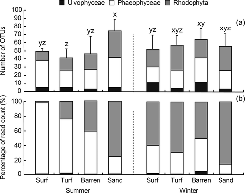 Fig. 6. (a) Richness and (b) abundance of operational taxonomical units (OTUs) associated with three macroalgal groups (Ulvophyceae, Phaeophyceae and Rhodophyta) detected on limpet shells inhabiting surf, turf, barren and sandy zones in summer and winter