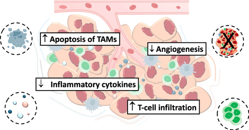 Figure 1 Mechanisms of action of trabectedin on the TME.