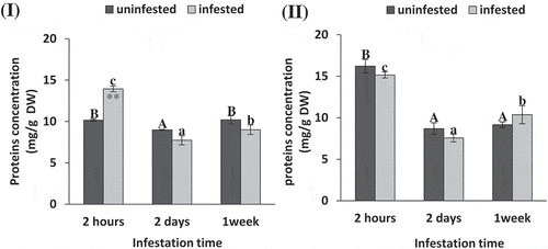 Figure 3. Soluble protein concentration (mg/g DW) of tomato (i) and maize (II) as affected by Spodoptera exigua larvae infestation after different periods of time. Each point is a mean of three replicates ± standard error. The different letters represent the statistical significance between different time periods of uninfested (a–c) and infested (a–c) plants at P ≤ 0.05. Asterisks show significant differences between uninfested and infested plants at each time period (*p < .05; **p < .01; ***p < .001).