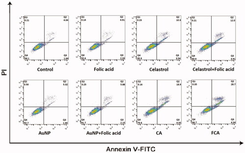 Figure 32. Flow cytometry analysis of MMP in breast cancer MCF-7 cells for the control treatment group, celastrol treatment group, folic acid treatment group, AuNP treatment group, CA treatment group and FCA treatment group.
