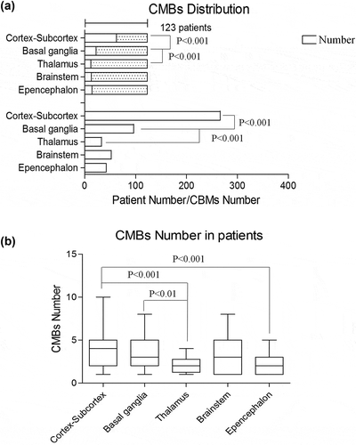 Figure 2. (a): Number of patients with CMBs and total CMB numbers distributed in different parts of the brain. (b): Average number of CMB lesions distributed in different parts of the brain for each group.