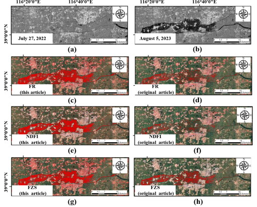 Figure 6. Sentinel-1 Image on July 24, 2023, before the flood (a), on August 5, 2023, during the flood (b), and the flood inundation extraction on August 5, 2023 retrieved with a threshold of the method in this article, (c) FR, (e) NDFI, (g) FZS, with a threshold of the original method, (d) FR, (f) NDFI, and (h) FZS.