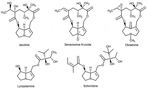 Figure 1. Representative pyrrolizidine alkaloids, present in ragwort, common groundsel and viper’s bugloss, showing the structural diversity