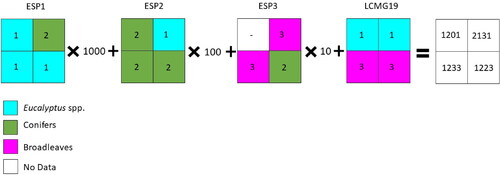 Figure 6. Diagram of the procedure followed to compare the Spanish forest official cartography (the MFE) and the land cover map of Galicia produced using Sentinel-2 processing (the LCMG19). ESP1: the MFE raster layer containing the primary species (SP1) information, after legend harmonization. ESP2: the MFE raster layer containing the secondary species (SP2) information, after legend harmonization. ESP3: the MFE raster layer containing the tertiary species (SP3) information, after legend harmonization.