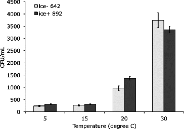 FIG. 5. Indirect method to assess the number of colony forming units (culturable cells) from the aerosol. Two strains were collected in 1 mL of 10 mM MgSO4 over 3 min. Aerosols were produced by a collison nebulizer at four temperatures for ice− 642 and ice+ 892 strains with n = 9, except ice̶ at 15°C where n = 6.There was a significant difference between the culturability of the aerosols between the strains at 20°C (P = 0.036).