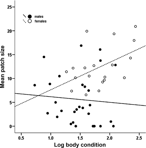 Figure 2. Relationship between body condition and size of the yellow patch (mm2) in male and female Hermann's tortoises.