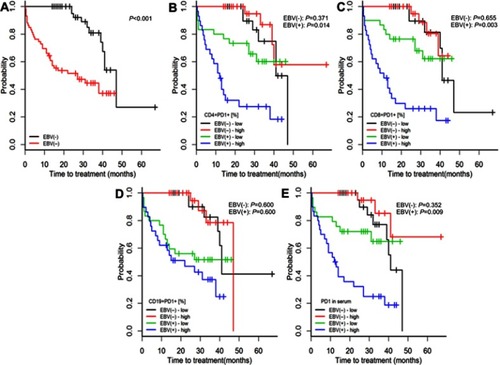 Figure 2 Time to treatment initiation in patients with chronic lymphocytic leukaemia and detectable [EBV(+)] vs undetectable [EBV(−)] EBV DNA (A) and high or low expression of PD-1 on CD4+, CD8+, and CD19+ cells and in serum (B–E). The classification of PD-1 expression as high or low was based on medians specific for EBV(+) and EBV(−) patients. P-values for log-rank tests are presented for comparisons between EBV(+) and EBV(−) patients (A) and between patients with high or low PD-1 expression within the groups of EBV(+) and EBV(−) patients (B–E). p-values are for log-rank tests, adjusted with Holm’s correction, comparisons between patients with high or low expression within the EBV(−) or EBV(+) groups.Abbreviations: EBV, Epstein-Barr virus; PD1, programmed cell death protein 1, EBV(−), patients without detectable EBV DNA; EBV(+), patients with detectable EBV DNA; low, expression below median within the EBV(−) or EBV(+) groups; high, expression above median within the EBV(−) or EBV(+) groups.