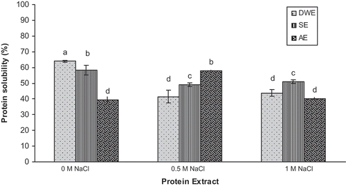 FIGURE 1 Effect of NaCl concentration on solubility of pumpkin protein extracts. Bars with different letters have significantly different mean values (p < 0.05).