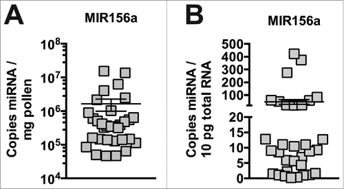 Figure 1. High levels of miRNA in pollen from different species. Plant MIR156a levels in fresh pollen collected by honey bee foragers (n = 32). Copy number is expressed per mg (A) and per 10pg total RNA (B).