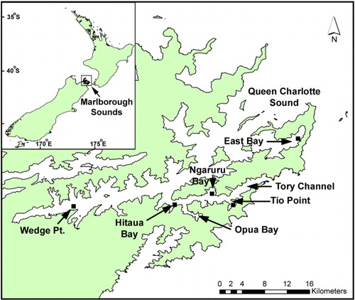 Figure 7 Locations in Queen Charlotte Sound referred to in the text. The small squares mark the location of weekly phytoplankton and shellfish monitoring sites.