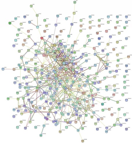 Figure 4 Network of protein–protein interaction (PPI) analyses of CDH16 co-expressed genes in PTC.