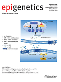 Cover image for Epigenetics, Volume 15, Issue 6-7, 2020