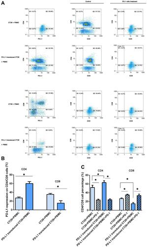 Figure 4 PD-L1 overexpression on CT26 cells influenced PD-L1 expression on CD4+/CD8+ lymphocytes and PD-1 blockade induced changes in CD4+/CD8+ cell counts. Analysis of PD-L1 expression on lymphocytes in a coculture assay and CD4+/CD8+ T cells by flow cytometry. (A) After 12 h following activation in the presence of 100 IU/mL IFNγ in the two coculture assays, the mononuclear cells were collected and PD-L1 expression was assessed by flow cytometry (the left column). CD4 and CD8 expression was, respectively, detected in the two coculture assays treated with IFNγ plus PD-1 blockade for 12 hours (the right column). One representative sample of three is shown. (B) The frequency of CD4+PD-L1+ and CD8+PD-L1+ T cells, and the frequency of CD4+CD3+ and CD8+CD3+ T cells (C) in different coculture assays was statistical analyzed (*P < 0.05).