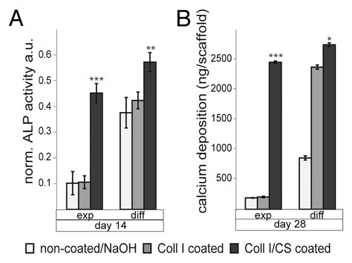 Figure 5. Differentiation of expanded or osteogenic differentiated hMSC on non-coated, Coll I coated, and Coll I/CS coated PCL scaffolds (exp, expansion medium; diff, differentiation medium). (A) alkaline phosphatase (ALP) activity, a.u. arbitrary units; (B) calcium deposition (significances: *p < 0.05, **p < 0.01, ***p < 0.001).Citation18