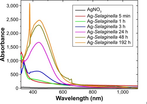 Figure 6 Ultraviolet-visible spectra analysis of synthesized nanoparticles.