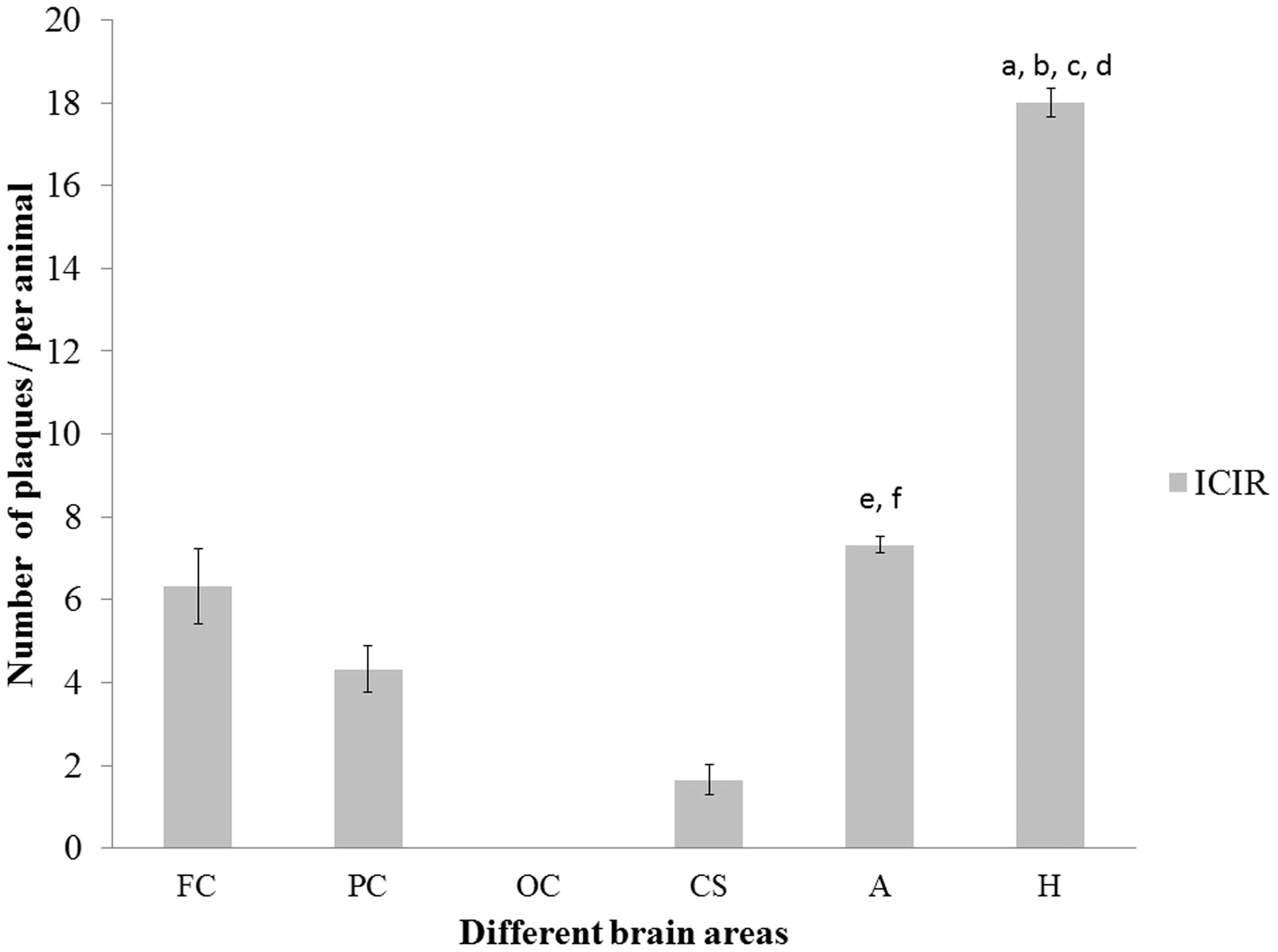 Figure 6. Number of plaques in different brain areas of intracerebroventricular colchicine injected rats (ICIR). Significant difference (p < 0.001) between hippocampus vs (a) frontal cortex; (b) parietal cortex; (c) corpus striatum; and (d) amygdala. Significant at p < 0.001 between amygdala vs (e) parietal cortex or (f) corpus striatum in ICIR hosts. Values shown are means ± SEM (n = 6/group). Abbreviations are as outlined in legend to Figure 3.