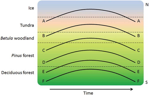Figure 18. Hypothetical pollen-stratigraphical reflections of the same climate oscillation in different regions along an imaginary transect from south to north. In the far north, locality A, the climatic oscillation results in a retreat of tundra and expansion of ice. Locality B records the classical Allerød–Younger Dryas–early Holocene pattern of Betula woodland–tundra–Betula woodland. Farther south, the climatic oscillation is recorded by other vegetational and hence pollen-stratigraphical changes. Note that at localities D and F no major pollen-stratigraphical changes are observed as no ecotones are crossed. Based on Fægri and Iversen (Citation1950).