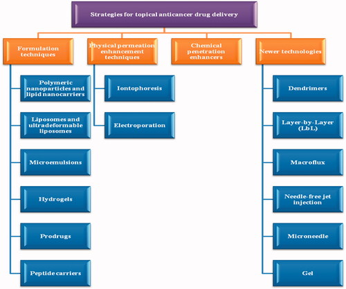 Figure 3. Classification of strategies used for topical anti-cancer drug formulation.