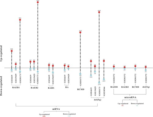 Figure 1. Details of DE-mRNAs and DE-miRNAs in different subtypes of MDS. DE-mRNAs and DE-miRNAs were screened with |log2fold change| ≥ 1.5 and P value < 0.05.