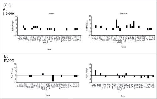 FIGURE 8. RT-PCR differential gene expression comparing CWD-infected mice from treatment groups D and E to CWD-negative control mice from group E. CWD-inoculated animals given higher Cu (ppm), group E, had a greater number of gene expression alterations (14 > 2-fold) at 60 d post inoculation (DPI), and at terminal disease (15 >2-fold) (A) than group D, which had 7 altered genes at 60 DPI and 13 at terminal disease (B). Although similar in number, the genes altered at terminal disease were different between groups E and D.