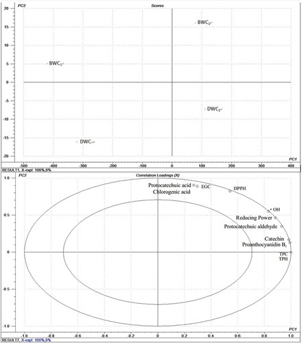 Figure 4. Scores plot (a) and Correlation loading plot (b) from PCA of the samples between the individual phenolic and antioxidant activity.Figura 4. Diagrama de puntos (a) y Diagrama de correlación de cantidades (b) de PCA de las muestras entre la actividad fenólica individual y antioxidante.