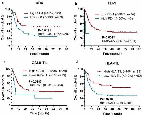 Figure 3. Kaplan–Meier survival curves with log-rank tests for OS between patients with different levels of CD4 (a), PD-1 (b), Gal-9 on TIL (c), HLA on TIL (d)