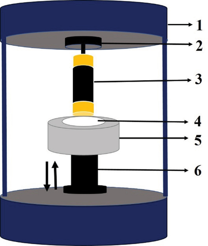 Figure 3. Schematic diagram of Tensiometer device. 1 – electronic balance, 2 – sample holder, 3 – sample tube, 4 – oil, 5 – liquid reservoir, 6 – lifting platform.