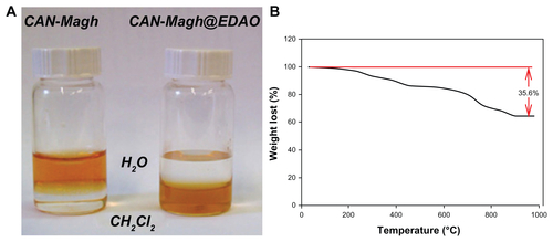 Figure S6 Solubility test of ceric ammonium nitrate (CAN)-Magh versus Magh-1 (A) and thermogravimetric analysis of Magh-1 (B).