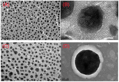 Figure 2. Transmission electron microscopy micrographs of NLCs: (A and B) GNA-NLC and (C and D) GNA-PEG–NLC.