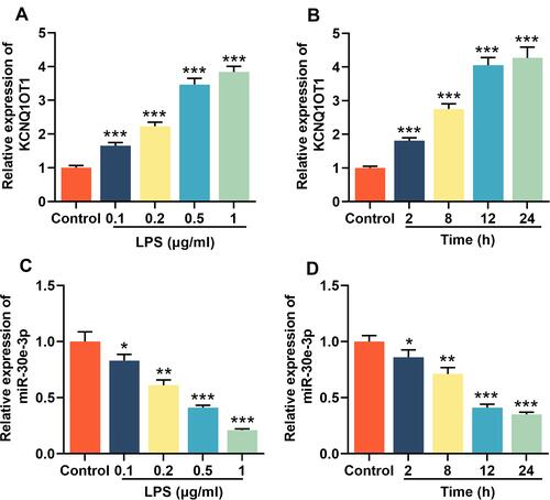 Figure 1 KCNQ1OT1 was up-regulated and miR-30e-3p was down-regulated in LPS-induced HMC3 cells. HMC3 cells were treated with different concentrations of LPS (0, 0.1, 0.2, 0.5 and 1 μg/mL) for 24 h, or treated with 1 μg/mL of LPS for different times (0, 1, 6, 12 and 24 h). RT-qPCR was used to detect the expression levels of KCNQ1OT1 (A and B) and miR-30e-3p (C and D) in HMC3 cells. All experiments were performed in triplicate. *P<0.05, **P<0.01, and ***P<0.001.