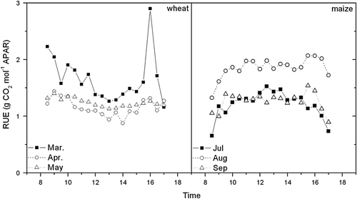 Fig. 5  Diurnal variations of monthly averaged radiation use efficiency (RUE) during the vigorous growth periods of wheat (March, April and May) and maize (July, August and September) from 2002 to 2003 in a wheat-maize field at Yucheng.
