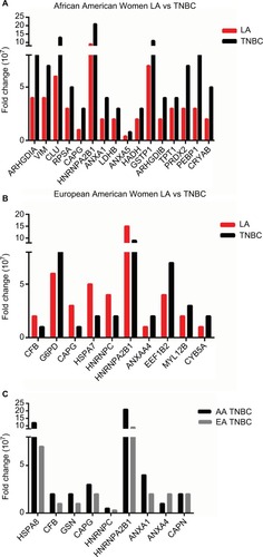 Figure 3 Differentially expressed proteins in (A) Luminal A breast cancer vs TNBC in AA women, (B) LA vs TNBC in European American women, and (C) TNBC in AA women vs TNBC in European American women.