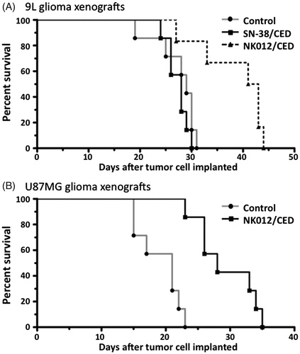 Figure 4. Effect of CED of NK012 on the rodent orthotopic brain tumor models. (A) Outcome for rats bearing 9L tumors with single CED infusions of 5% glucose, free SN-38 and NK012. Five days after tumor implantation within the brain, rats were treated with 2 mg/ml of each agent. Median survivals for these groups were 29, 28 and 42 days, respectively. Statistically significant differences were observed between the control and NK012 groups (p = 0.0063, log-rank test) and between the free SN-38 and NK012 groups (p = 0.0045, log-rank test). (B) Animals implanted with U87MG tumor cells received NK012 on day 5 after tumor implantation. Median survivals for this group were 21 days for the control group and 28 days for the NK012 group. CED treatment with NK012 resulted in a significant survival benefit compared to the control (p = 0.0003, log-rank test).