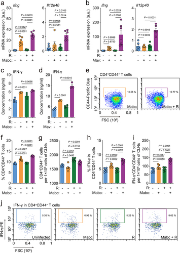 Figure 4. L-Arginine treatment upregulates th1 immune responses in the lung tissues of mice with NTM-PD. The in vivo experimental design was the same as in Figure 2d top.