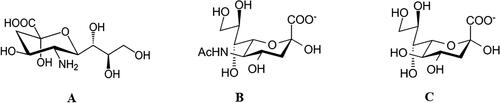 Figure 1. Chemical structure of: (А) Neuraminic acid. (B) N-acetylneuraminic acid (NANA, Neu5Ac, sialic acid). (C) 2-Keto,3-Deoxynonic acid, KDN.