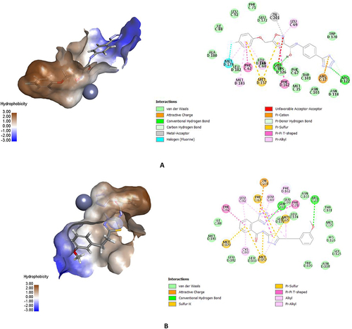 Figure 4 An interaction representation of the most active compounds depicted as 3D and 2D within the active site of Glo-I of (A) SYN22881895 with its most important interactions both 3D and 2D and (B) SYN25285236 with most important interactions both 3D and 2D.