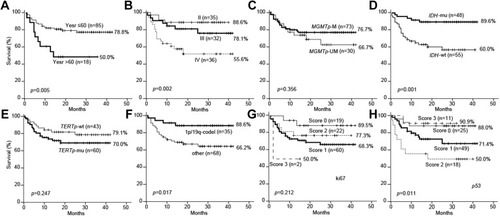 Figure 1 Prognostic values of patient age, histological grade, MGMT promoter methylation, IDH mutation, TERT promoter mutation, 1p/19q codeletion, and Ki-67 and p53 expressions by Kaplan–Meier Estimates of Overall Survival in 103 gliomas.