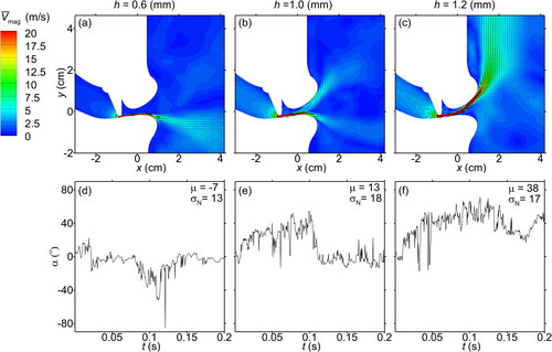 Figure 7. The mean velocity magnitude contours in conjunction with the superimposed mean velocity vectors of the airflow for the flat-[f] model with a tooth gap height of (a) 0.6, (b) 1.0, and (c) 1.2 mm at a subglottal pressure of 600 Pa at 0.2 s. The corresponding jet trajectory angle evolution from 0 to 0.2 s for a tooth gap height of (d) 0.6, (e) 1.0, and (f) 1.2 mm.