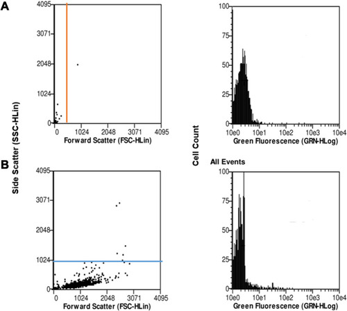 Figure 8 Flow cytometric analysis of the controls (A) free nanoparticles spiked in a media (positive control) and (B) untreated cells (negative control).