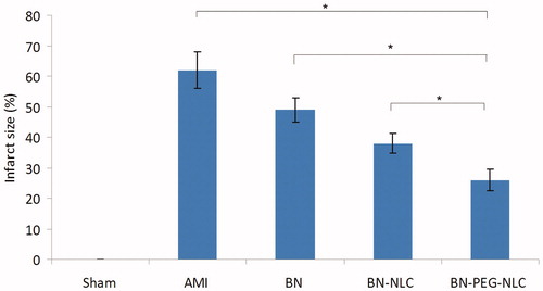 Figure 6. The effect of BN solution, BN-NLC, and BN-PEG-NLC on infract size. BN: baicalin; PEG: polyethylene glycol; NLC: nanostructured lipid carriers.