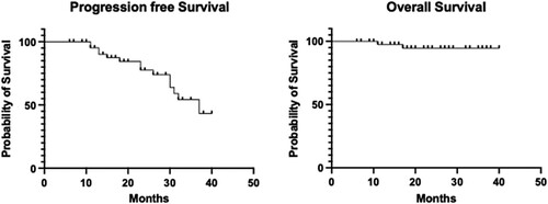 Figure 3. Progression-free survival and overall survival in patients with multiple myeloma undergoing autologous hematopoietic stem cell transplantation.
