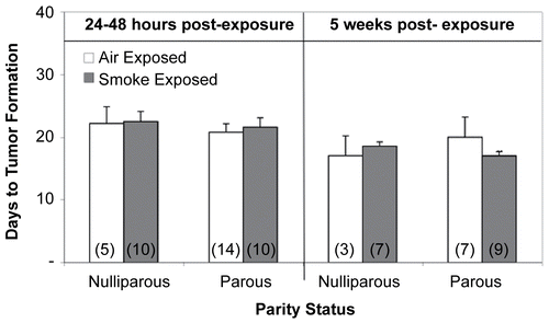 Figure 6.  Effects of cigarette smoke (CS) and parity status on time-to-tumor formation. Values represent the mean (n = 3–14 mice/exposure group) ± SE. Values determined from those mice demonstrating palpable tumors. (n) = Number of EL4-injected mice with palpable tumors.