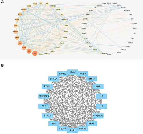 Figure 4 The PPI network of interaction targets (A) and subnetworks with the highest score (B).