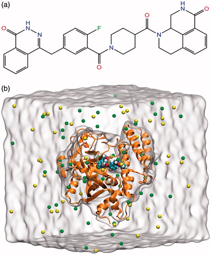 Figure 1. (a) Chemical structure of PARP-1 inhibitor used in MD simulations. (b) The equilibrated system includes PARP-1 protein (brown ribbons), inhibitor (CPK model), ions (green and yellow spheres), and water molecules (white surface).