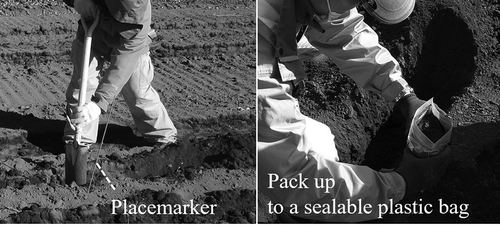 Figure 4. Soil sampling at the measurement point of visible and near-infrared soil reflectance spectra