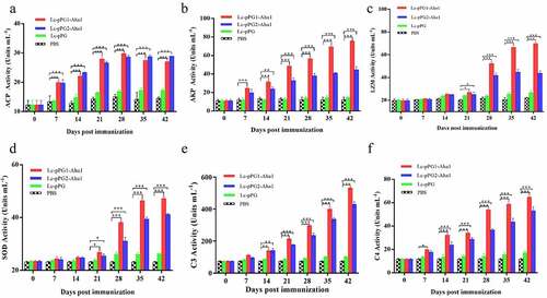 Figure 4. Humoral immune responses elicited by recombinant L. casei. Activities of acid phosphatase (ACP) (a) alkaline phosphatase (AKP) (b), lysozyme (LZM) (c), superoxide dismutase (SOD) (d), complement C3 (C3) (e) and complement C4 (C4) (f) in peripheral blood of common carp (n = 5 fish/group) after oral immunization. Data are presented as mean ± SD fold increase relative to PBS control. *: p <0.05, **: p <0.01, ***: p <0.001.