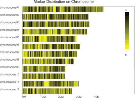 Figure 2. Markers distribution on each rice chromosome.